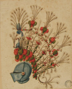 Elmo piumato